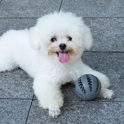Juego de juguetes para perros Bola de silicona para limpieza de dientes interactiva y distribución de alimentos con fugas