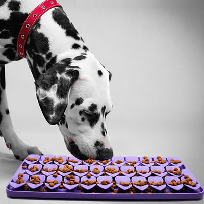 Grado alimenticio Silicona de alimentación lenta Tapete sólido para perros y gatos